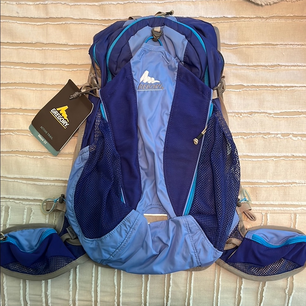Gregory Blue Outdoor Backpack Streamlined Design